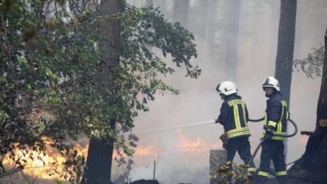Горски пожар и край Берлин, в близост има боеприпаси от ВСВ