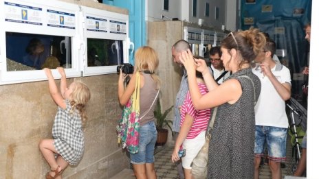 Аквариумът във Варна разкрива тайните на Черно море с вход свободен за жителите и гостите на града
