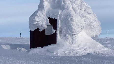 Виц на деня - 5 ноември