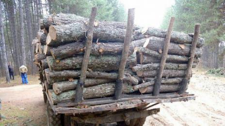 Горските във Варна конфискуваха 14 каруци и 3 коня