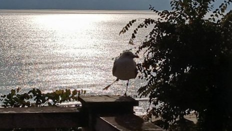 Слънчево и горещо време в неделя