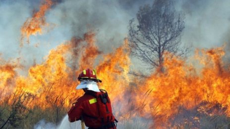 53 горски пожара са станали в Североизтока
