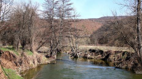 Няма завишени норми на метал в река Драговищица у нас