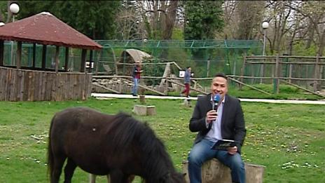 "Щрихи от утрото" (13.04.2017) - Великден в зоопарка