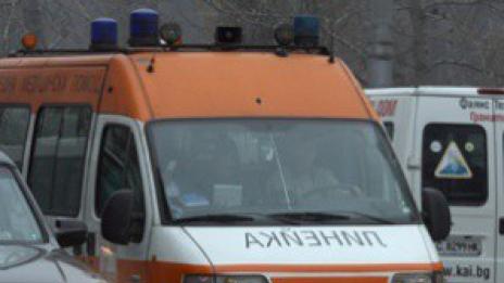 Куче нахапа старец в Нова Загора