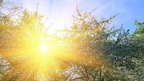Предимно слънчево днес по Черноморието