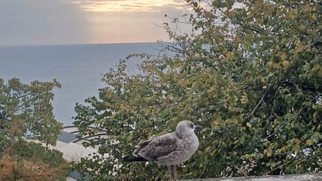 Слънчево време в цялата страна днес