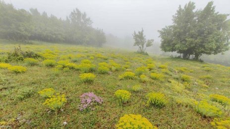 България отбелязва Международния ден на биосферните паркове
