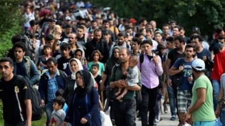 Двойно повече преселници са поискали закрила от България през август в сравнение с предходни месеци