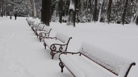 В кои райони Коледата ще бъде снежна?