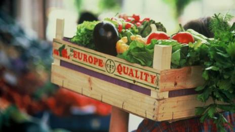 Износът на селскостопанска продукция от ЕС бележи рекорди през юни