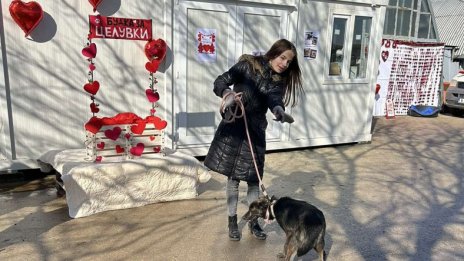 Търсят осиновители на безстопанствени кучета от Варна