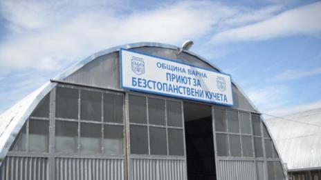 Не увеличиха щата на Кучкарника