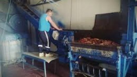 Катастрофа с хладилен камион прати близо 18 т месо в Екарисажа