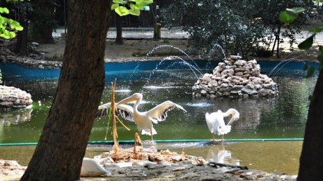 Зоопаркът във Варна отваря врати утре