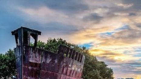 Плаващата гора на Сидни