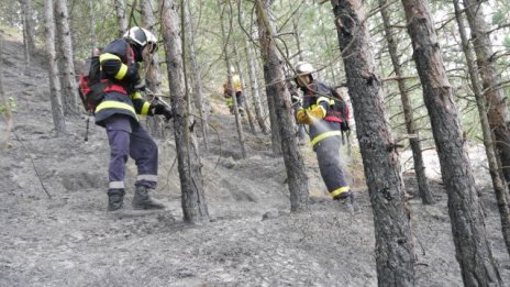 20 са пожарите в горите във Варненско за година