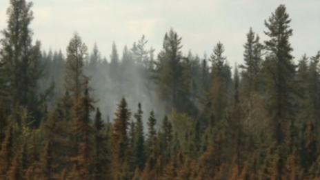 Работници са евакуирани заради пожара в Албърта