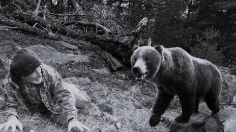 Как да реагираме при среща с мечка?