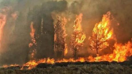 31 пожара в гори за десет дни през април