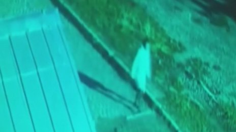 Вижте ВИДЕОТО, запечатало Стефани за последно