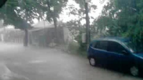 Паднали дървета и скъсани жици след бурята в Добричко