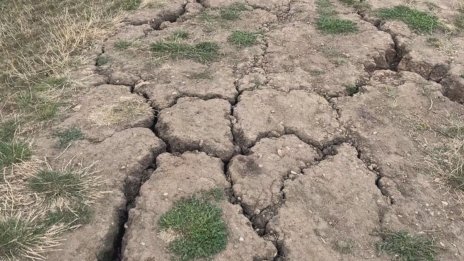 Климатолог: Европа страда от невиждана суша