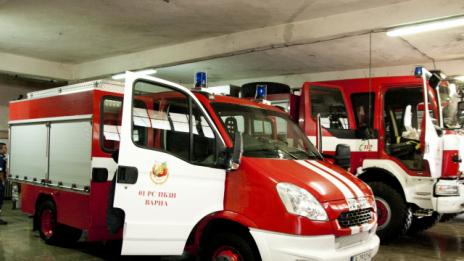 Гнездо на змии вдигна пожарникарите на Смолян под тревога