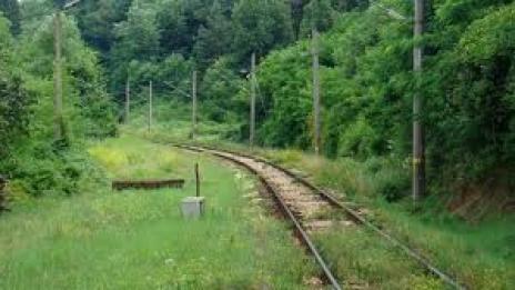 Нападали дървета спряха влаковете край Стара Загора