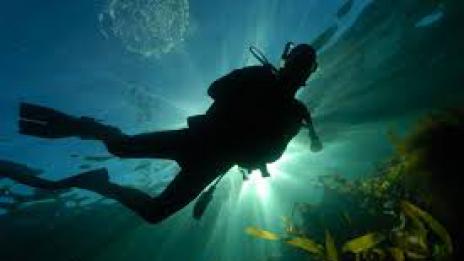 Школата за водолази към ВМС чества 50 години