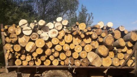 Във Варна стартира приемът на молби за помощи за отопление