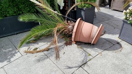 Силен вятър на много места в страната днес