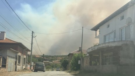 13-годишен е причинил пожара, обхванал землищата на четири хасковски села