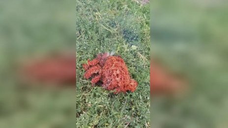 Мистерията е разкрита! Стана ясен произхода на червената маса от Якоруда