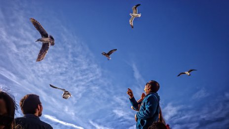 Туристически рекорд: Румънците с близо един милион нощувки в България