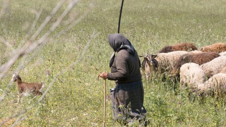 Издирват възрастна жена, изчезнала в Средна гора