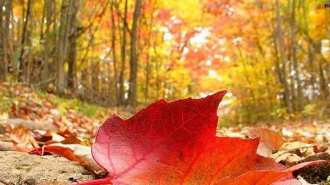 Топло и ще духа слаб вятър