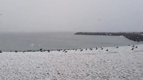 Сняг на парцали заваля във Варна