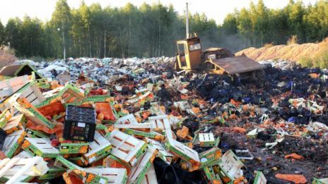 Русия е унищожила над 800 т храни от ЕС