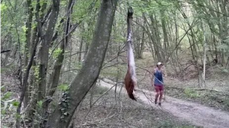 Глобяват смелчага, решил да потича в района, където издирват пумата