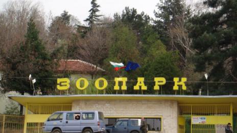 Вълк избяга от клетката си в зоопарка в Благоевград