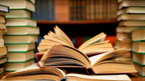 Публикуват книжка с комикси, адаптирана по "Дневникът на Ане Франк"