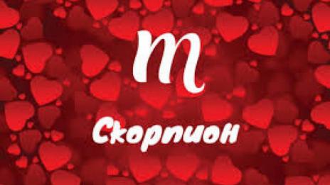 Любовен хороскоп за месец август 2019 (СКОРПИОН)