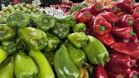 Труден сезон очакват оранжерийните производители у нас