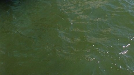 МРРБ: Пониженото ниво на Дунав не създава проблеми с водоснабдяването
