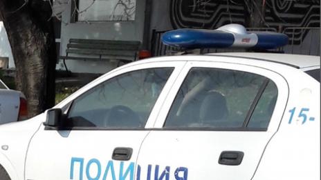 Мъж разстреля куче с пушка в плевенско село