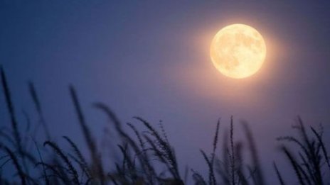 Жътварска луна изгрява следващата седмица