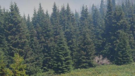 Нова група издирва загубилия се на Витоша младеж
