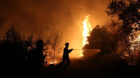 Потушиха пожара край Каменар, дежурни екипи остават в района