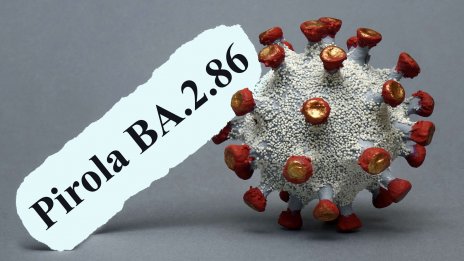 Проф. Кантарджиев алармира: Новият вариант на COVID поразява очите